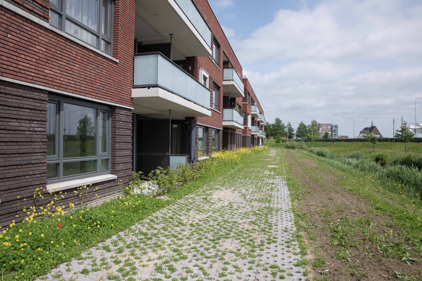 Foto 4 van Hedwigepolder 68