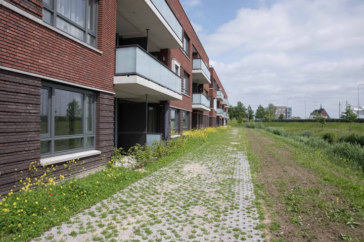 Foto 4 van Hedwigepolder 68