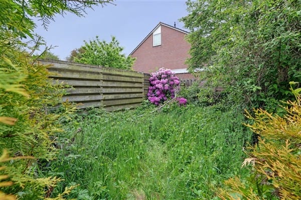 Photo 36 of Munte 21