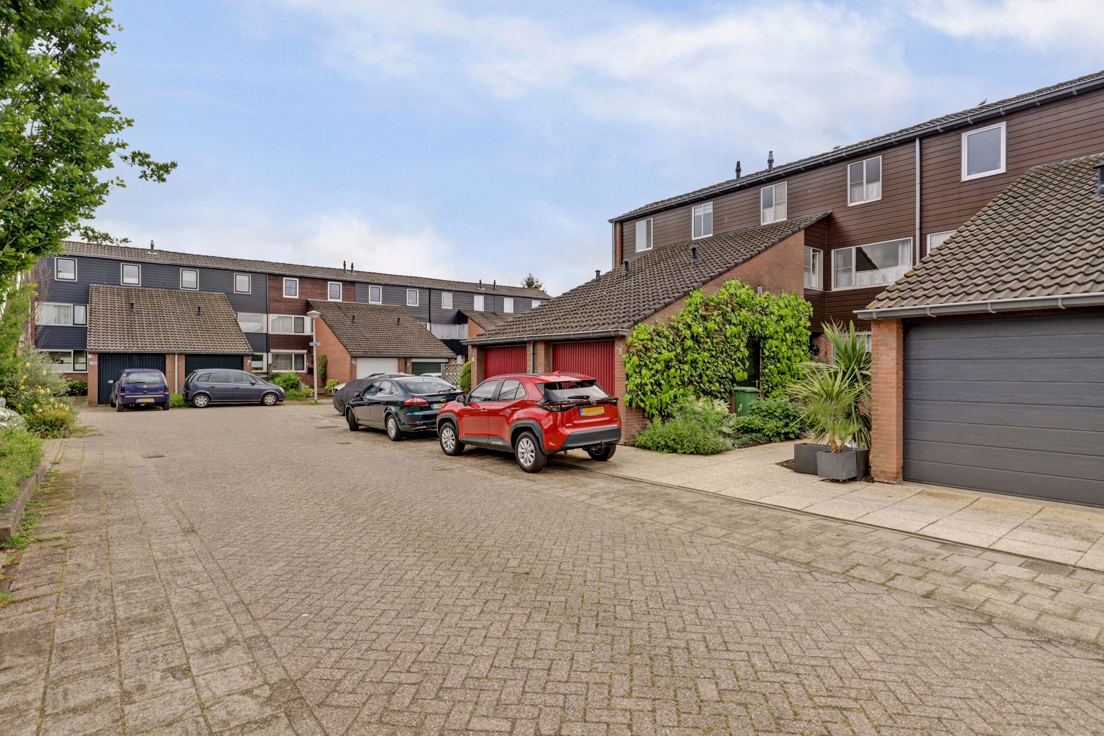 Photo 36 of Pijlkruid 4