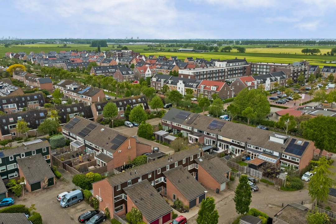 Photo 32 of Pijlkruid 4
