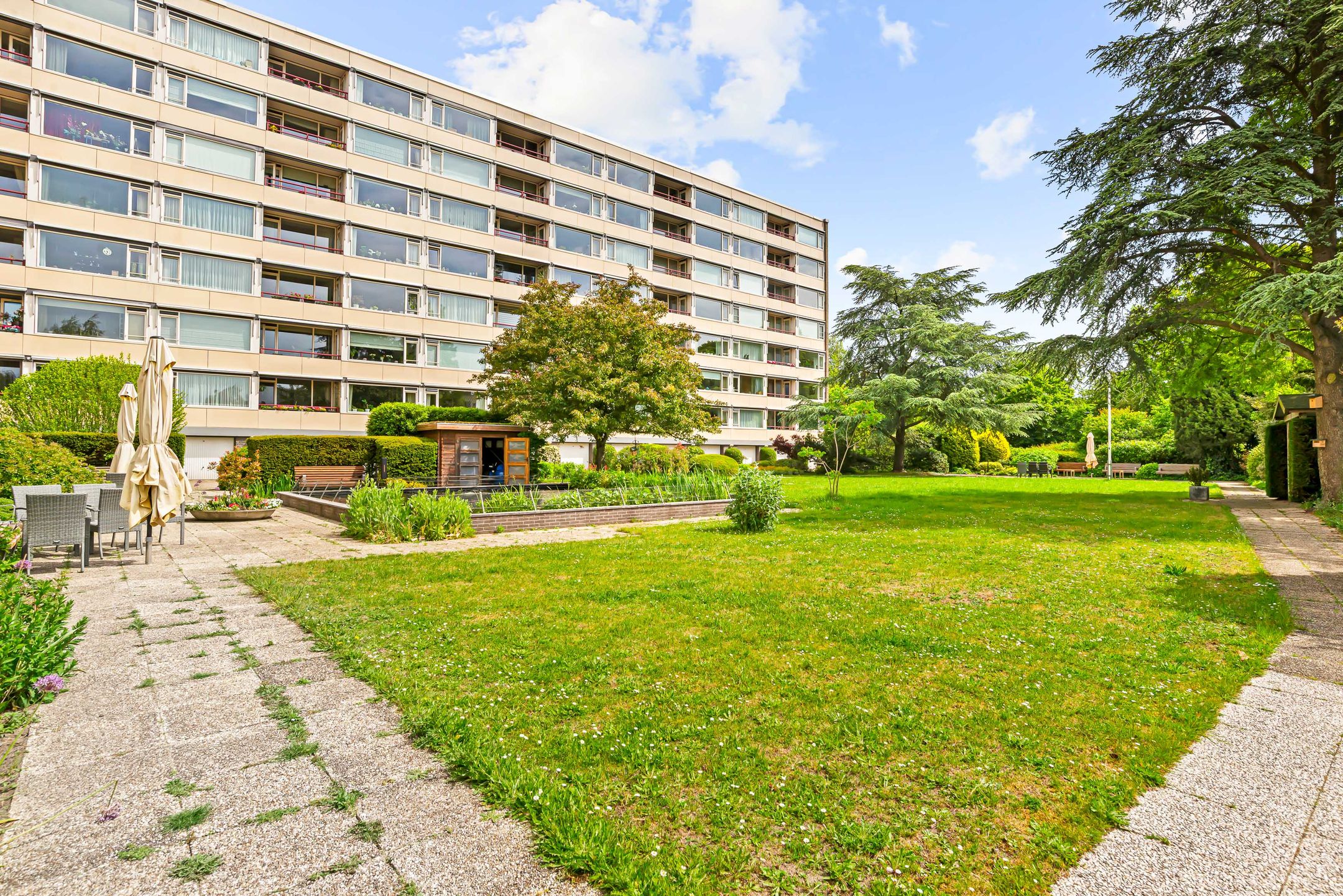 Photo 33 of Zandvoorter Allee 244
