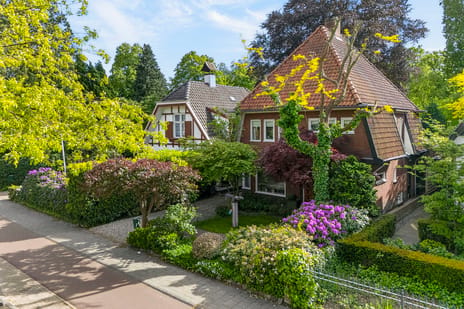 Bornsestraat thumbnail