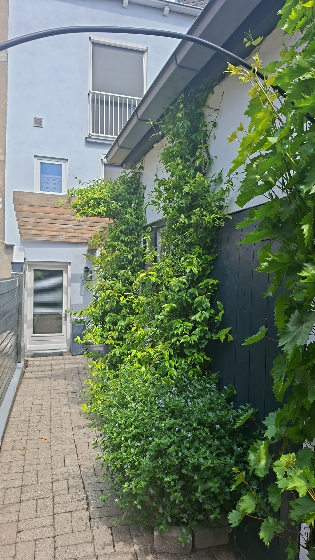 Photo 33 of Dorpsstraat 56