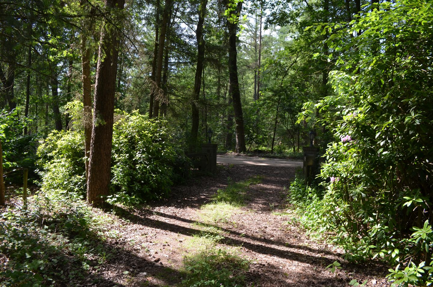 Foto 49 van Roessinkweg 28