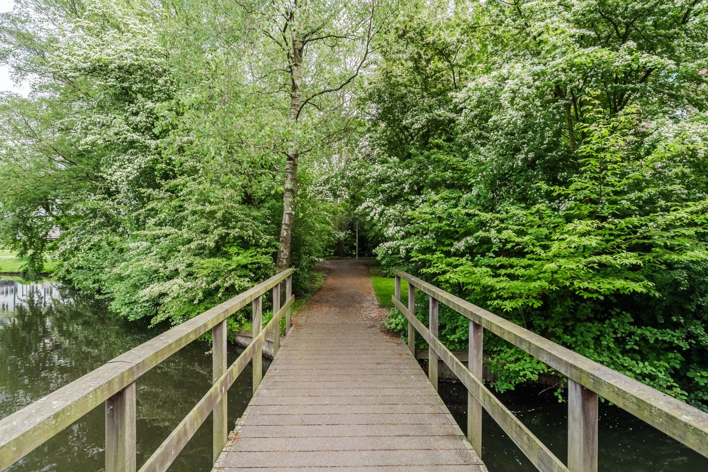 Photo 44 of Lindepark 75