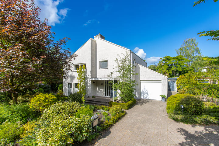 Maasland 43