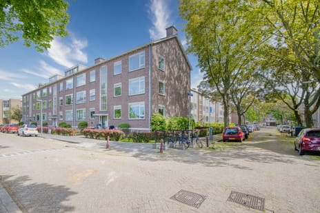 Tulpstraat thumbnail