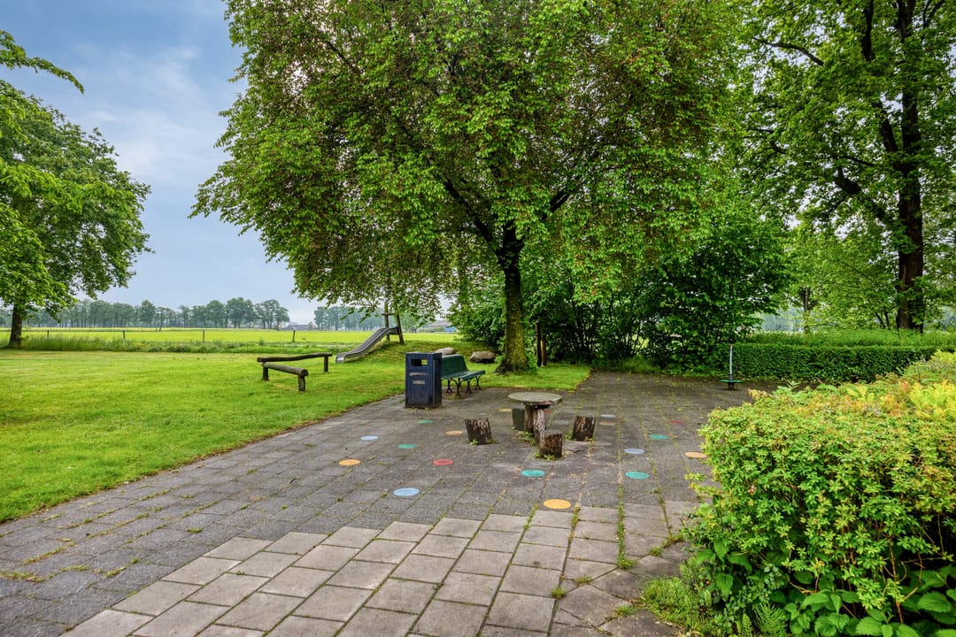 Photo 37 of Vogelwikke 37
