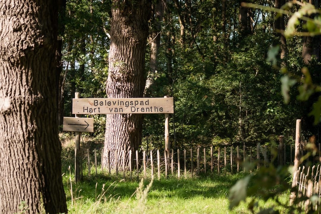 Foto 41 van Het Zwiggelterveld 149
