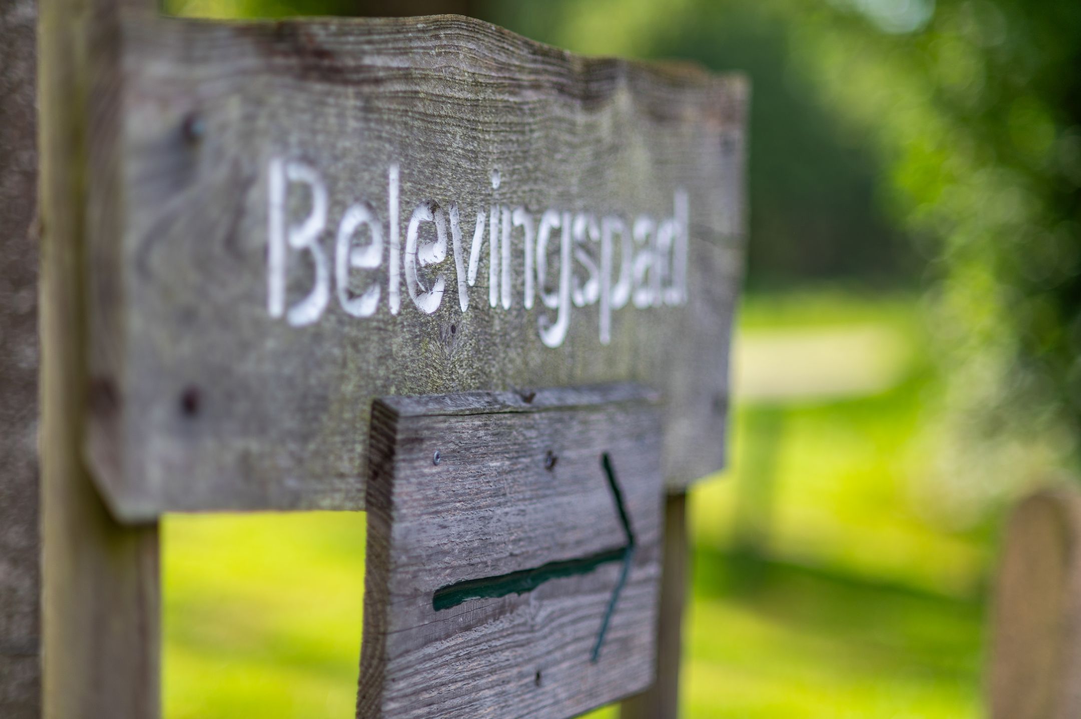 Foto 42 van Het Zwiggelterveld 149