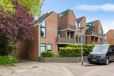 Petrus Campersingel thumbnail