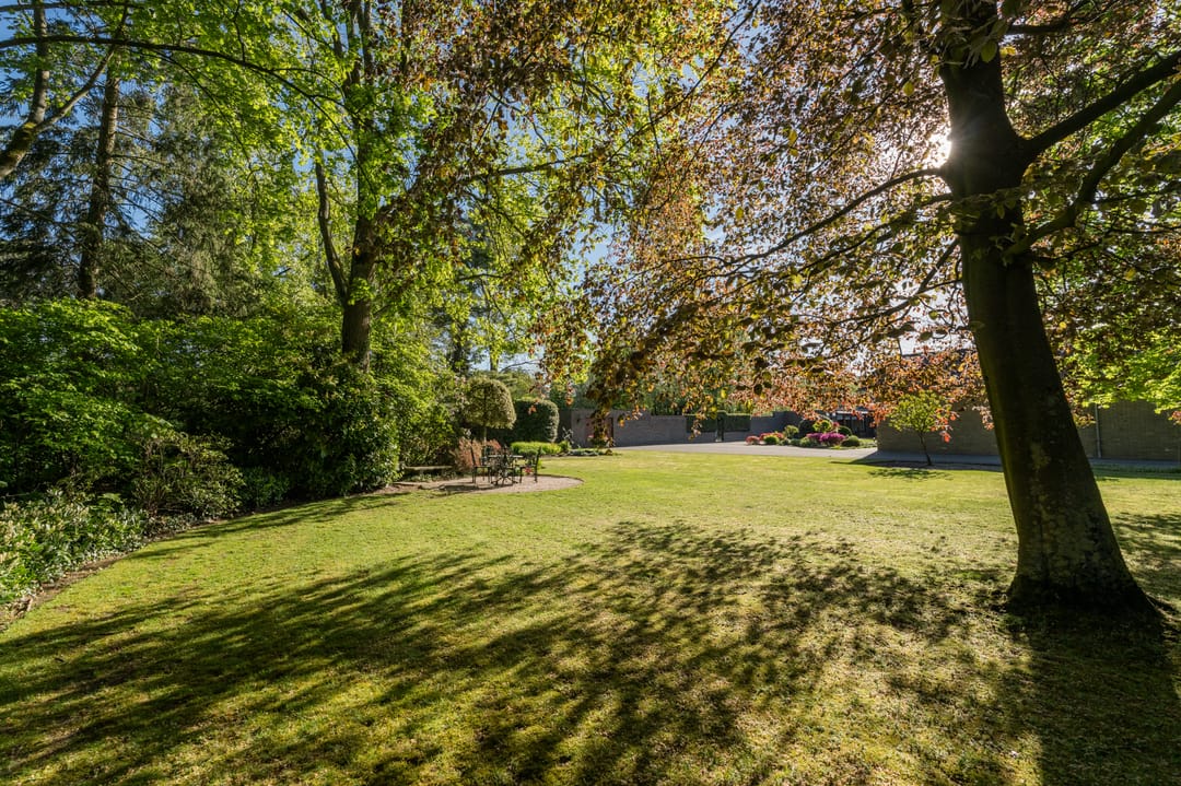 Spacious Bungalow with Large Plot Near the Dutch Border — 53