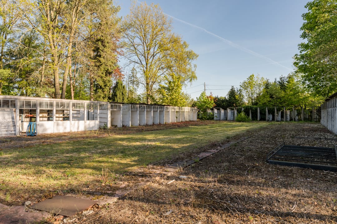 Spacious Bungalow with Large Plot Near the Dutch Border — 61