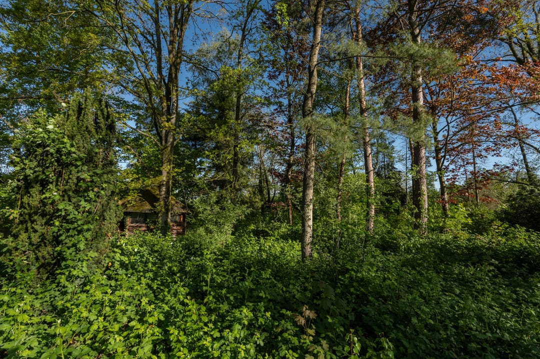 Spacious Bungalow with Large Plot Near the Dutch Border — 58