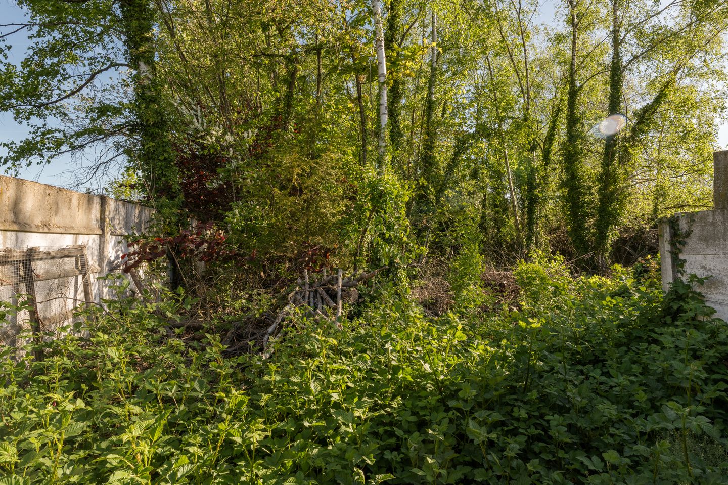 Spacious Bungalow with Large Plot Near the Dutch Border — 59