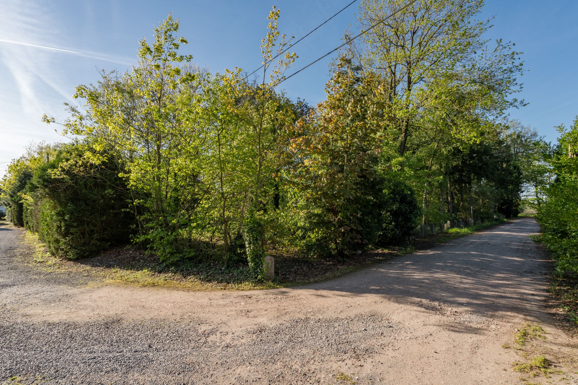 Spacious Bungalow with Large Plot Near the Dutch Border — 66