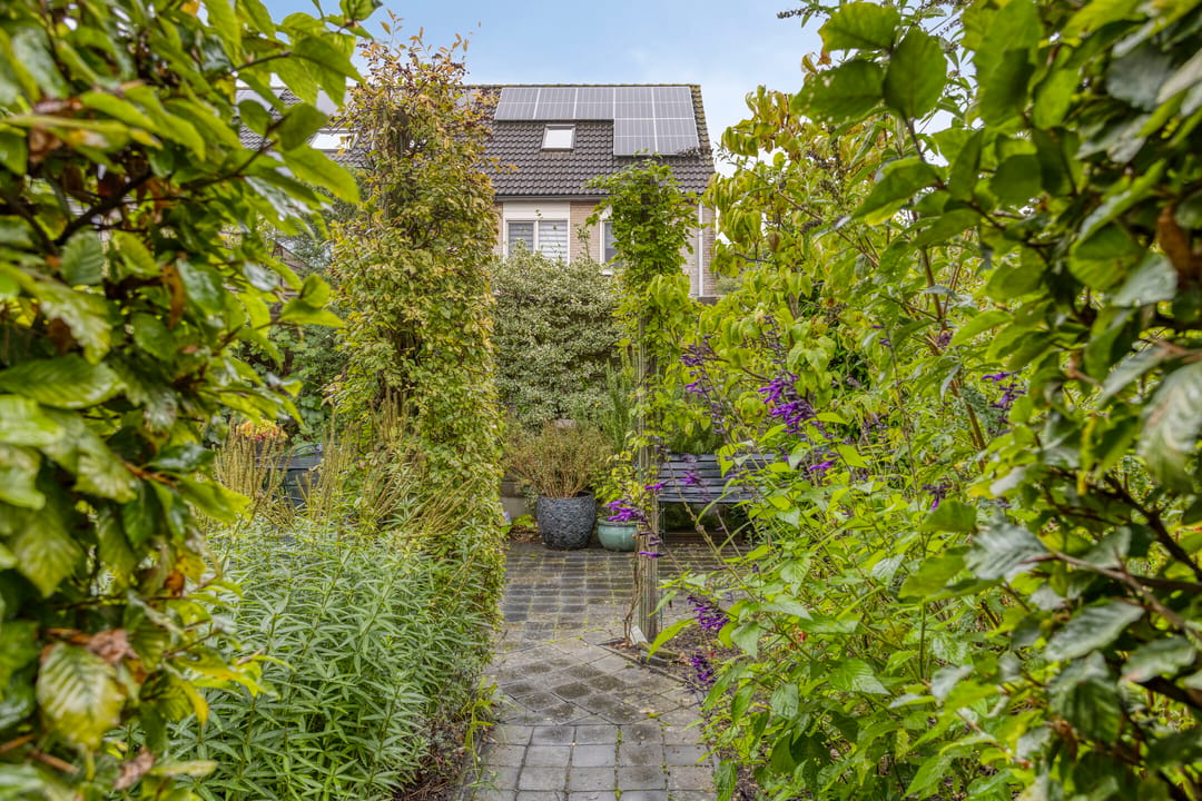 Photo 41 of Haringvlietlaan 38