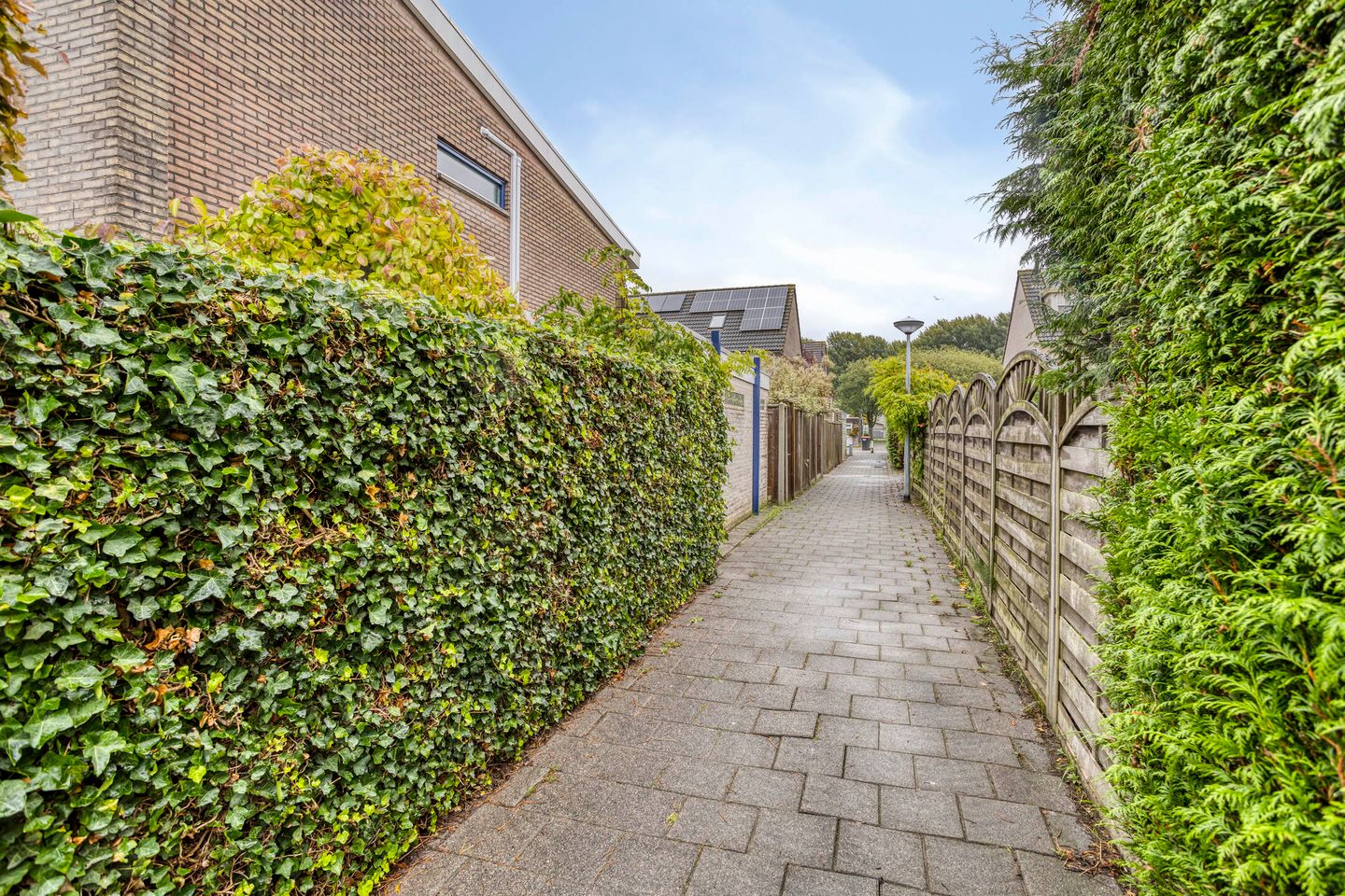 Photo 50 of Haringvlietlaan 38