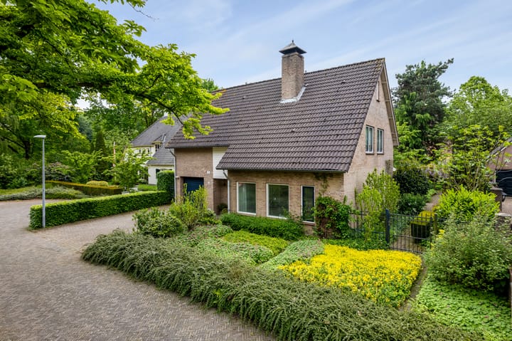 Foto 3 van Paardshei 4