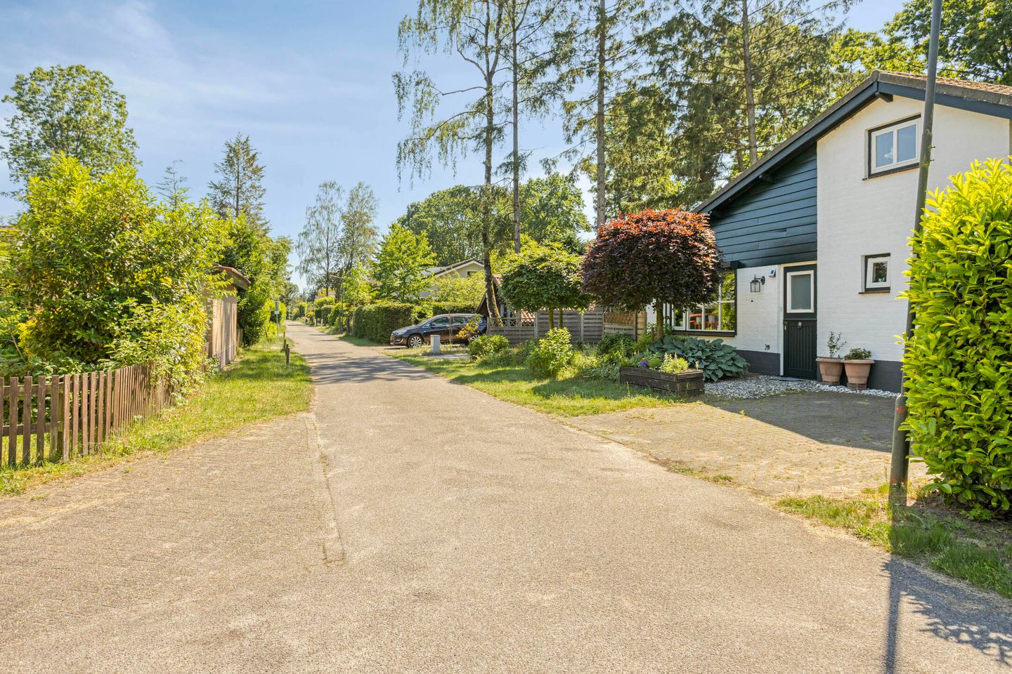 Foto 4 van Schaluinen 11-B357