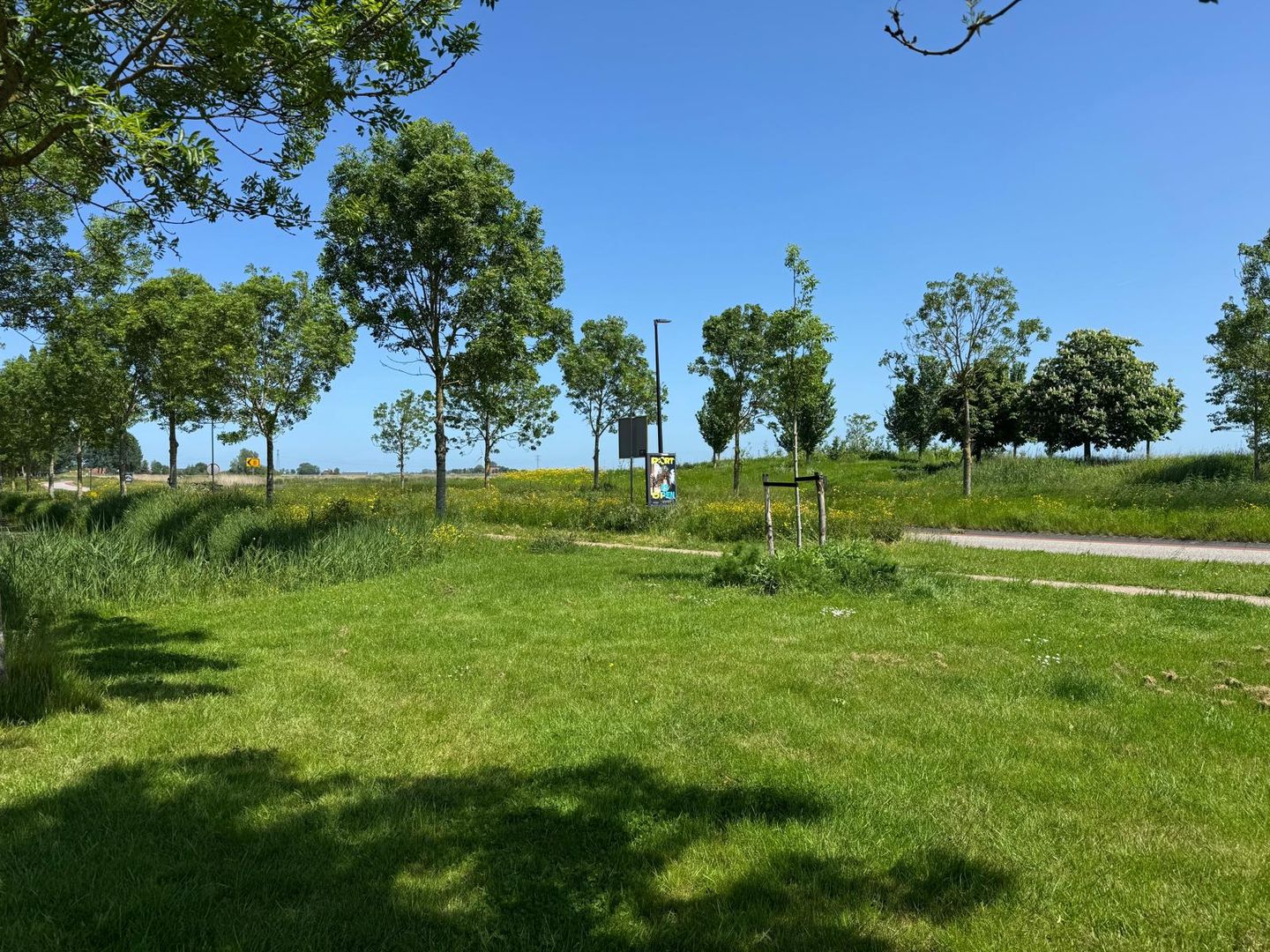 Photo 40 of De Ielreager 63