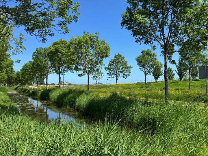 Photo 3 of De Ielreager 63