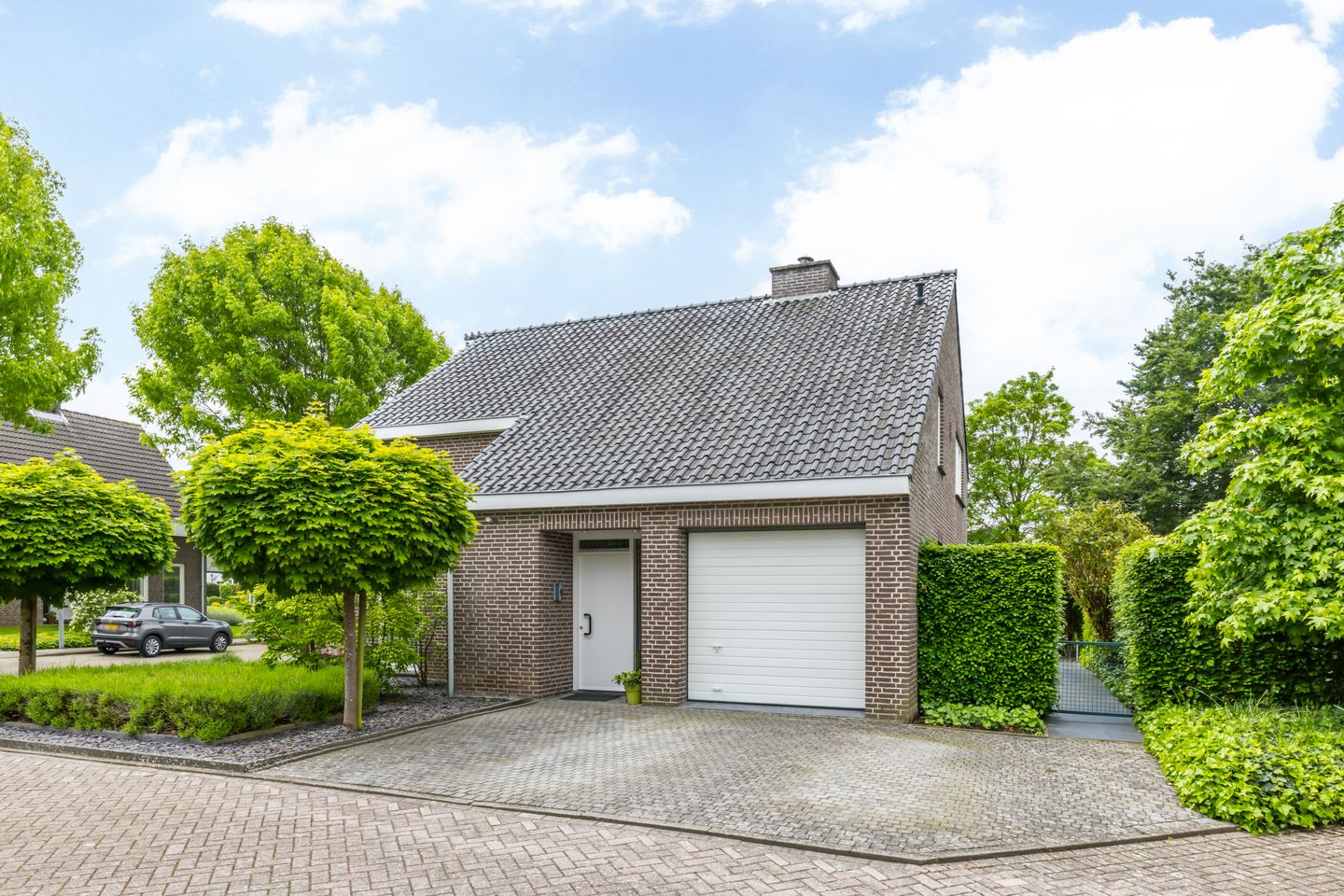 Foto 1 van Akkerklokje 4