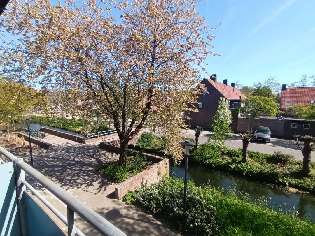 Foto 2 van Korenbloem 54