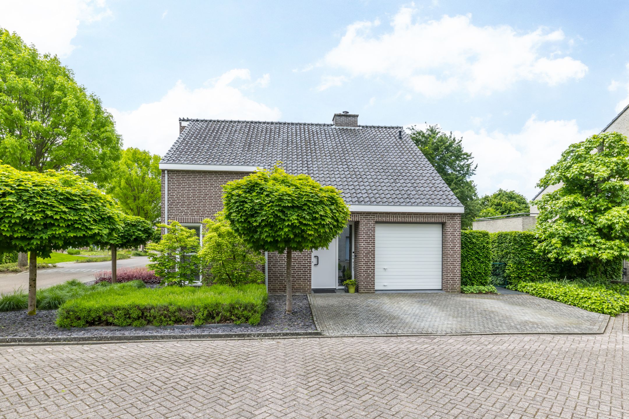 Foto 45 van Akkerklokje 4