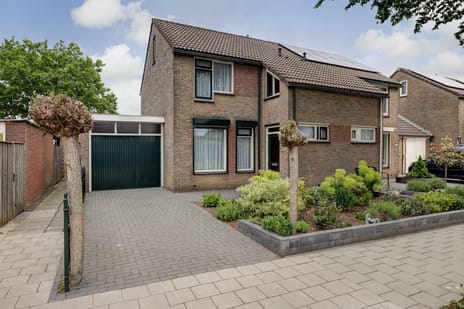 Paterstraat thumbnail