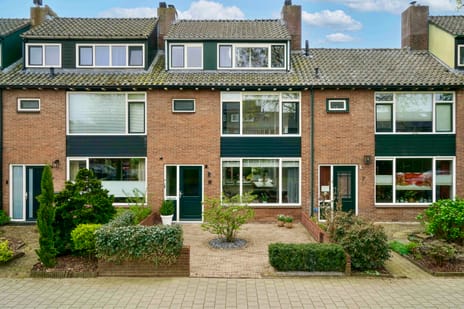 Jasmijnpad thumbnail
