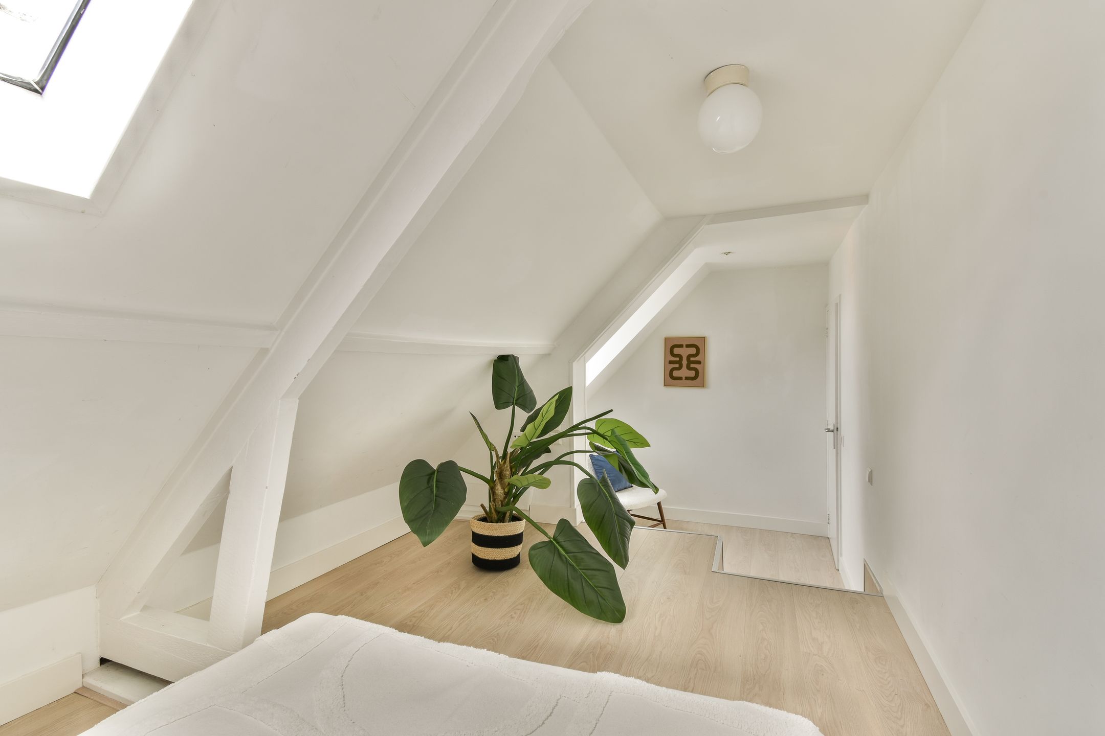 Photo 15 of Zamenhofstraat 68