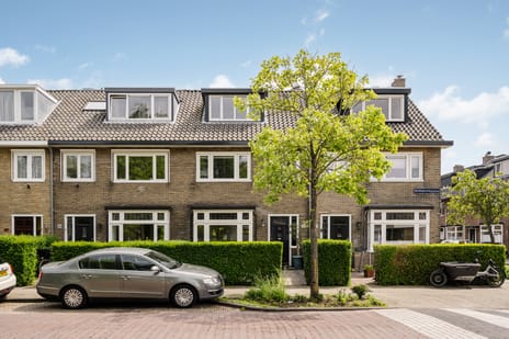 Van Oosten de Bruijnstraat thumbnail