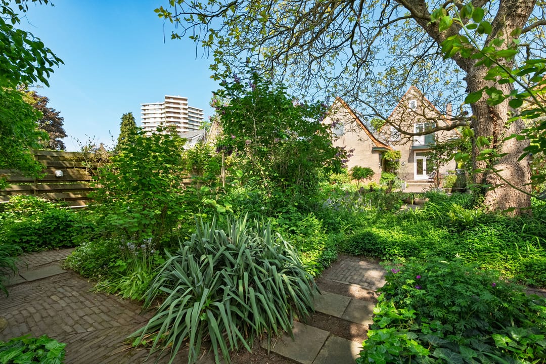 Foto 32 van Nude 37