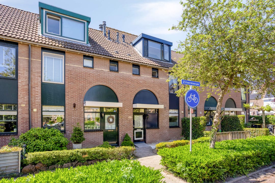 Photo 2 of Zilvermeeuw 46