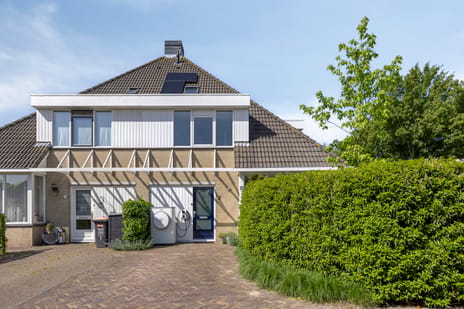 Cornelia de Langestraat thumbnail