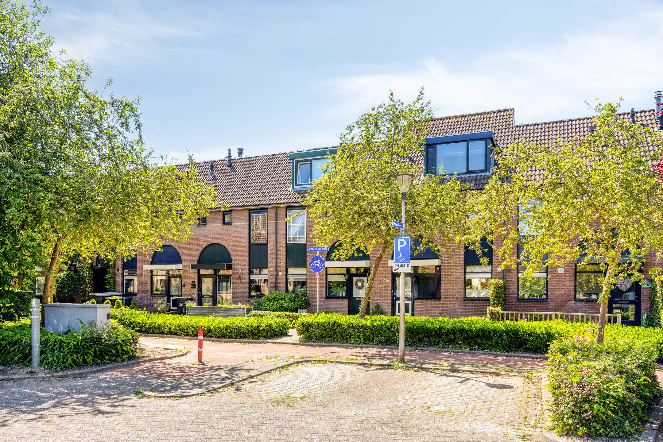 Photo 39 of Zilvermeeuw 46