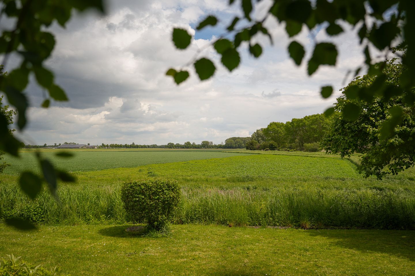 Foto 49 van Provincialeweg Zuid 65