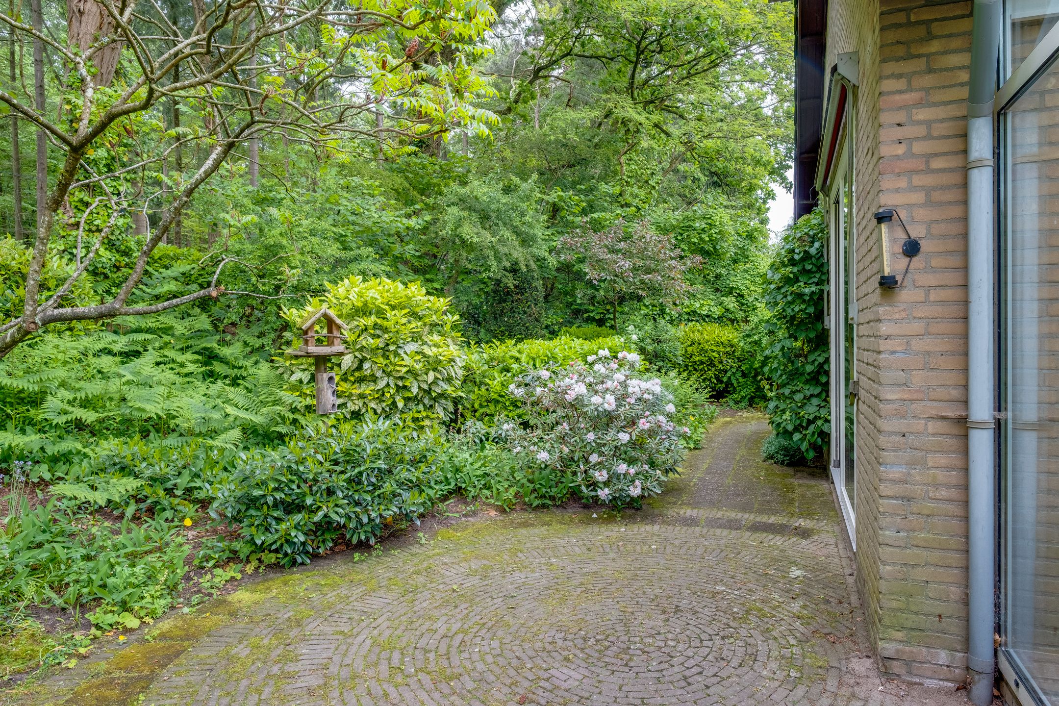 Foto 45 van Alphons Diepenbrocklaan 5