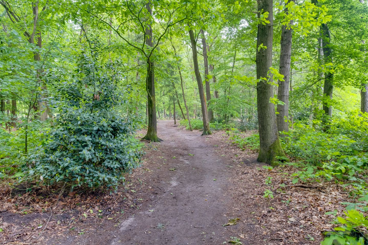 Foto 50 van Alphons Diepenbrocklaan 5