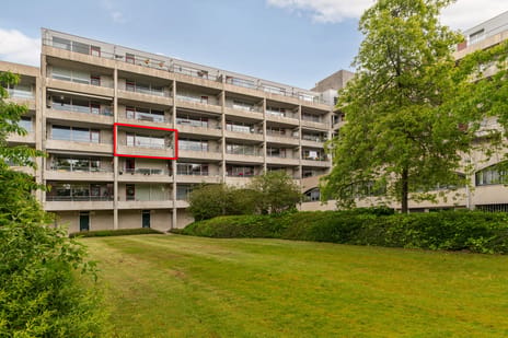 Thijmstraat thumbnail