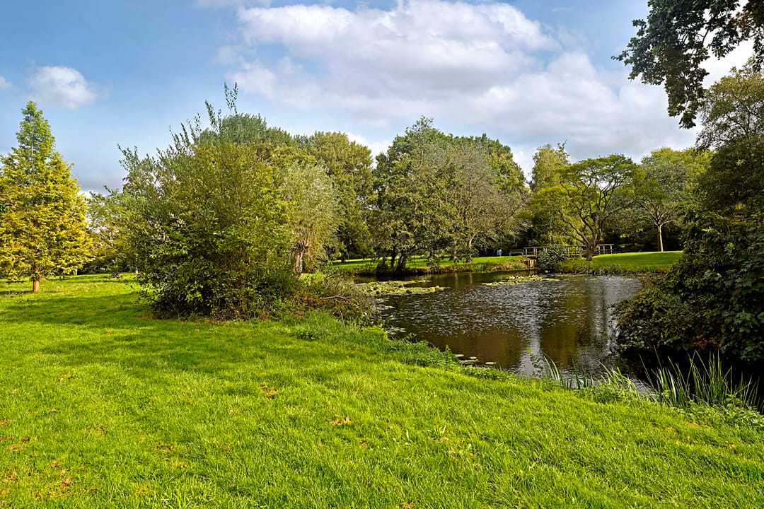 Photo 8 of Händellaan 3