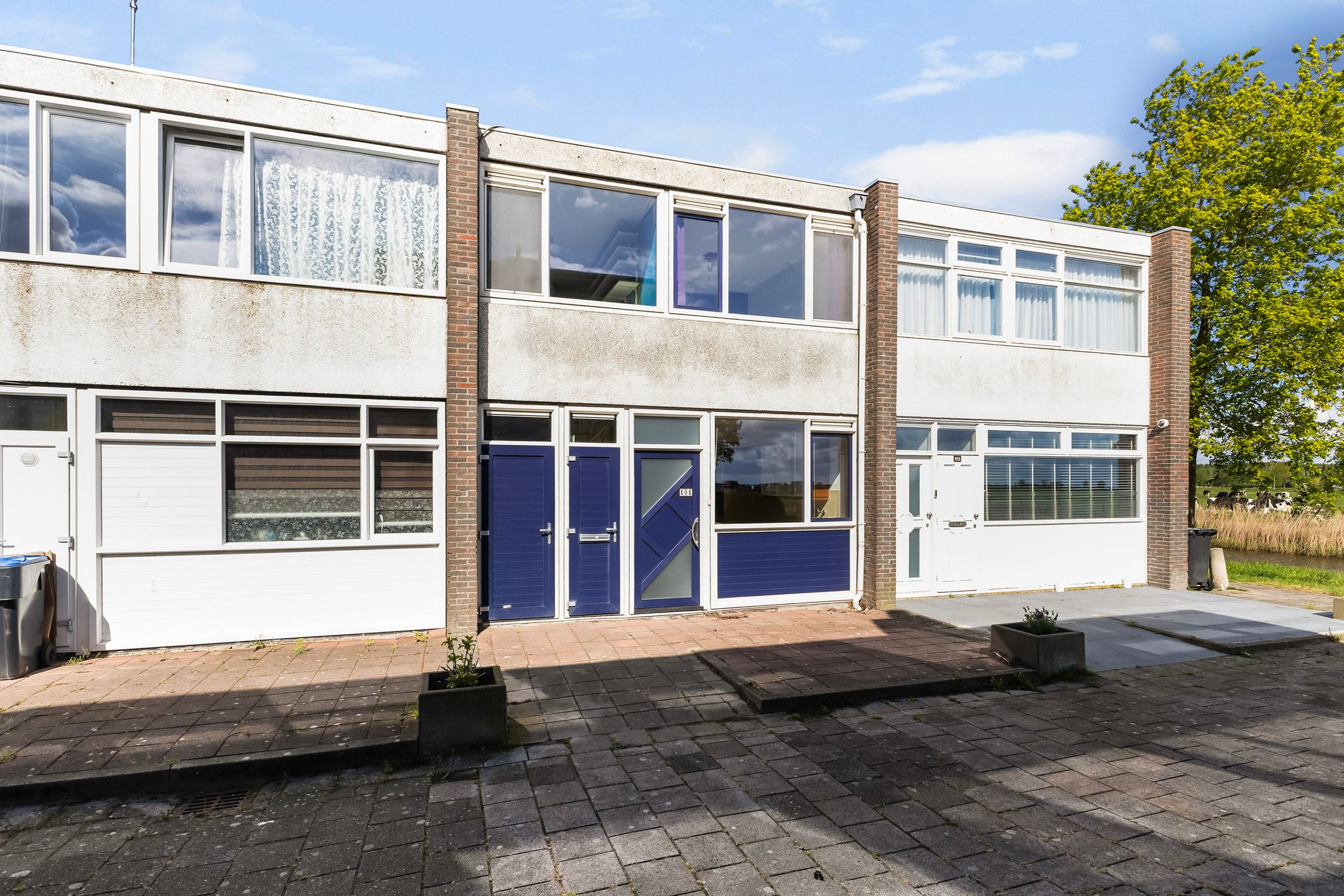 Robinsonstraat 101 