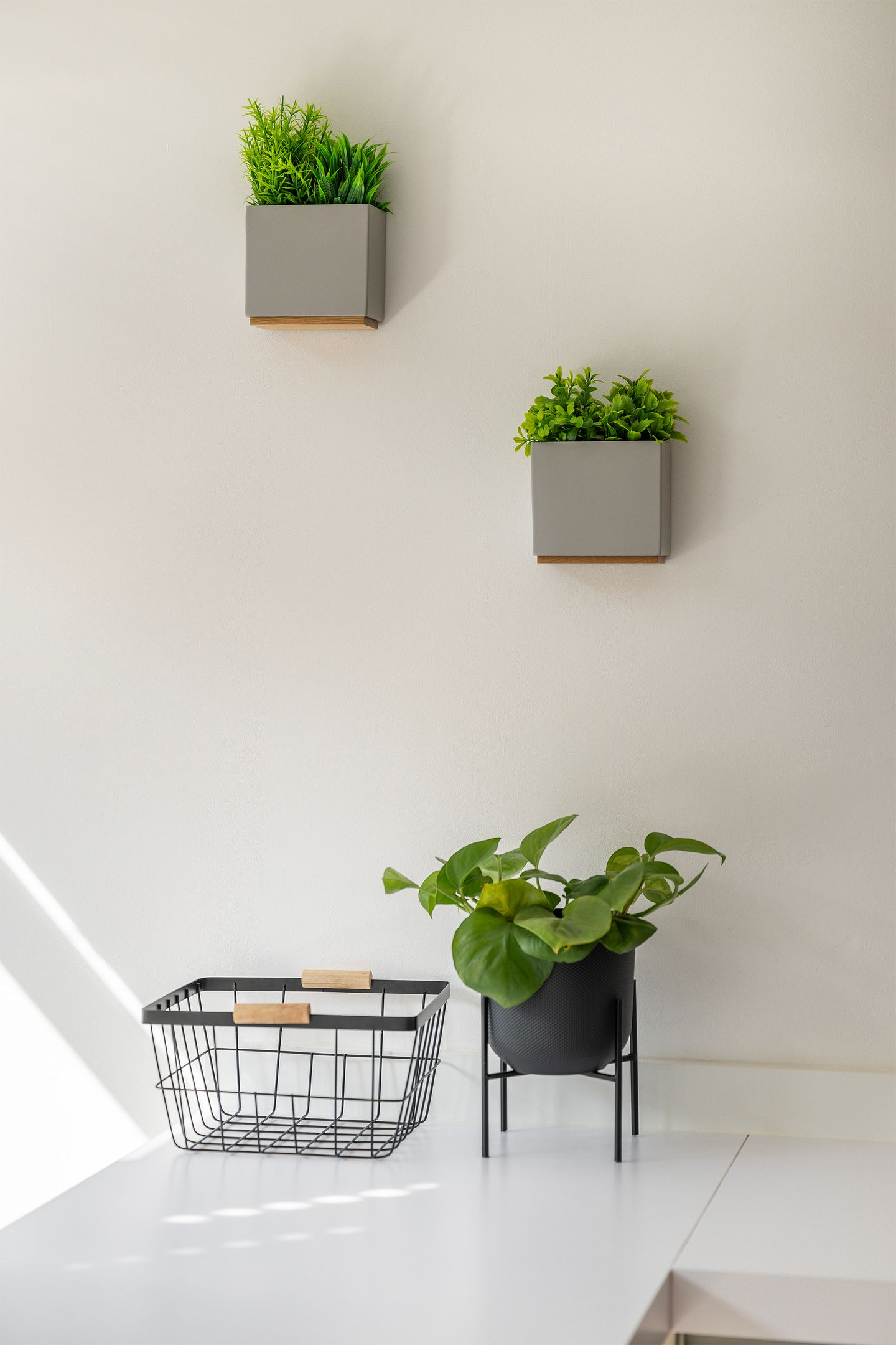Photo 10 of Van der Meydestraat 20-A