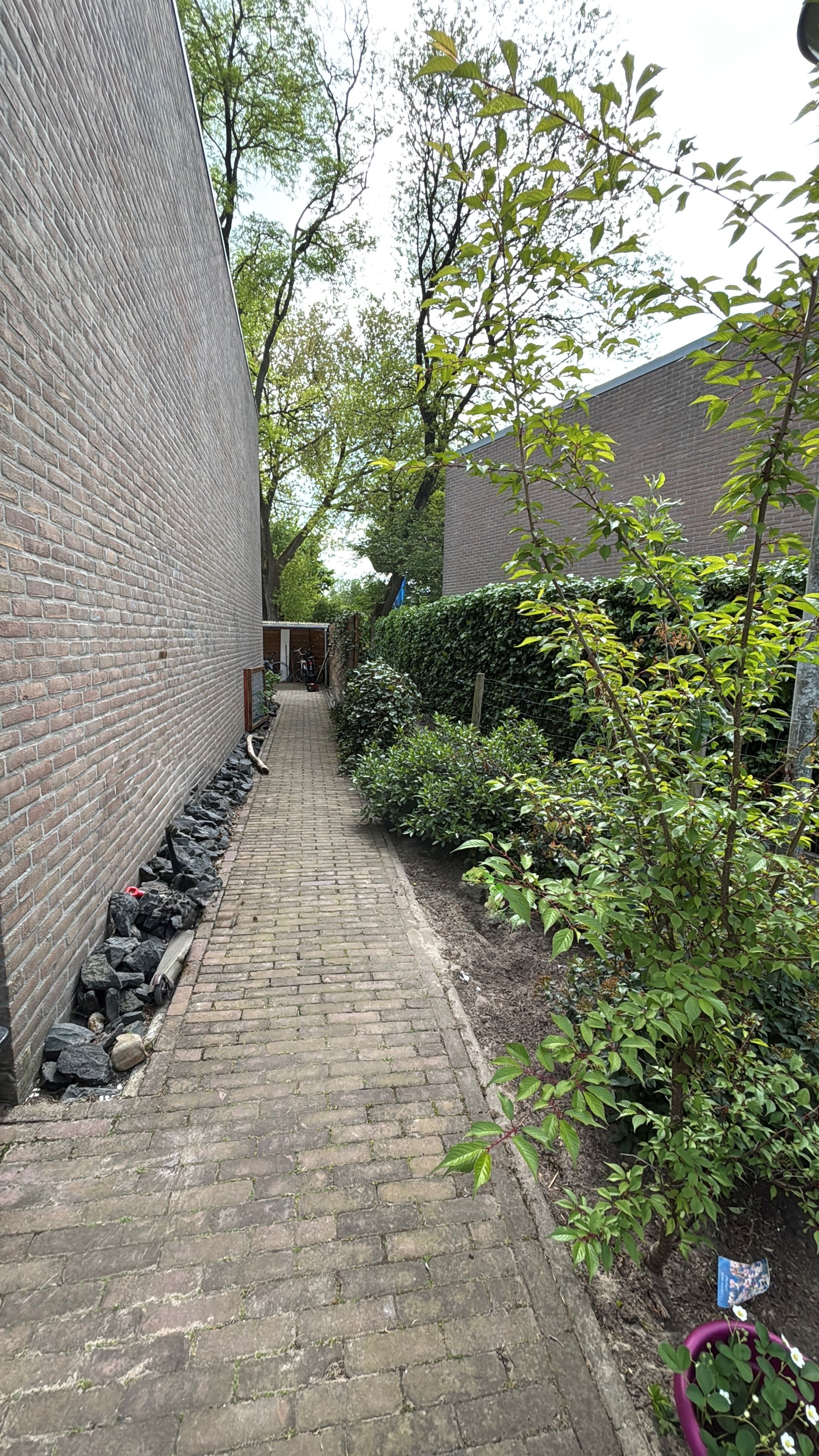 Foto 24 van Roghorst 363