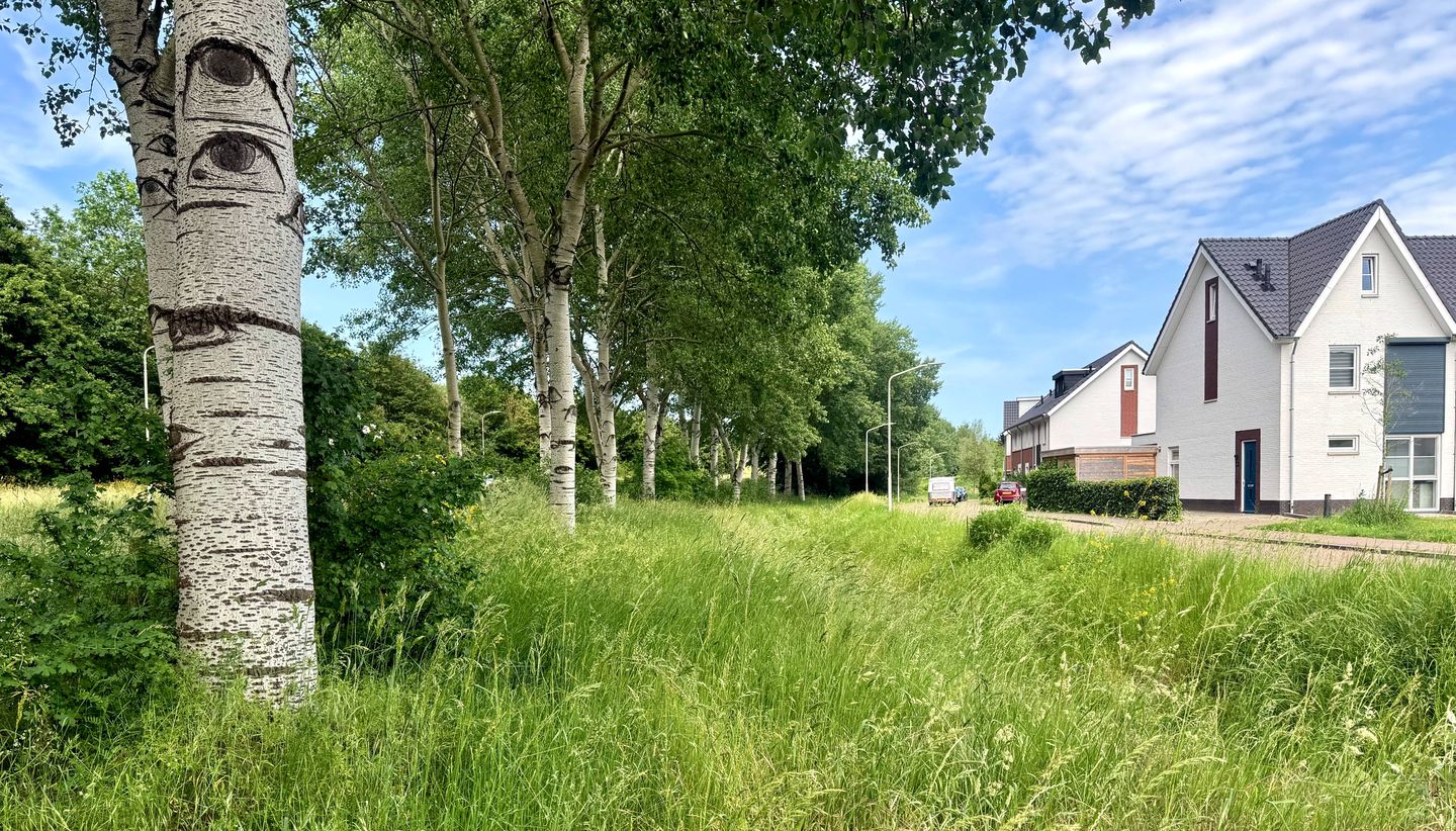 Foto 40 van Joannes van den Broekstraat 49