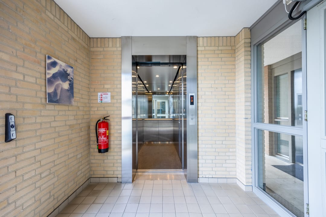 Photo 31 of Walstro 19