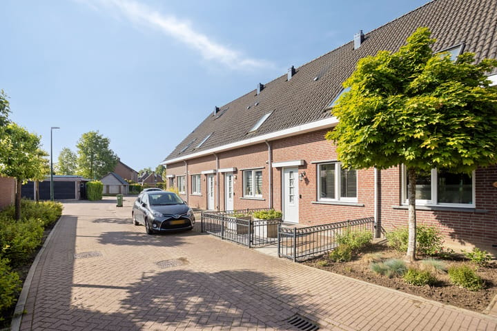 Foto 5 van Hoefiezer 4