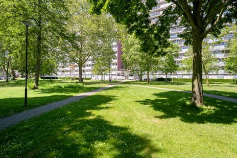 Eisenhowerstraat thumbnail